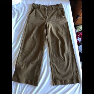 Everlane Wide Leg Crop Pant